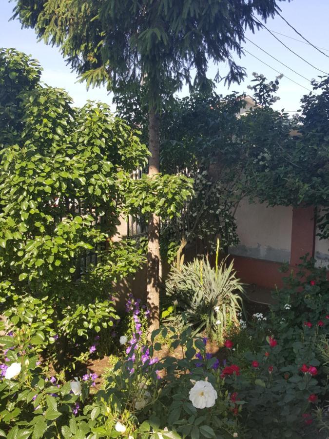 Vila Liz Eforie Nord Otel Dış mekan fotoğraf
