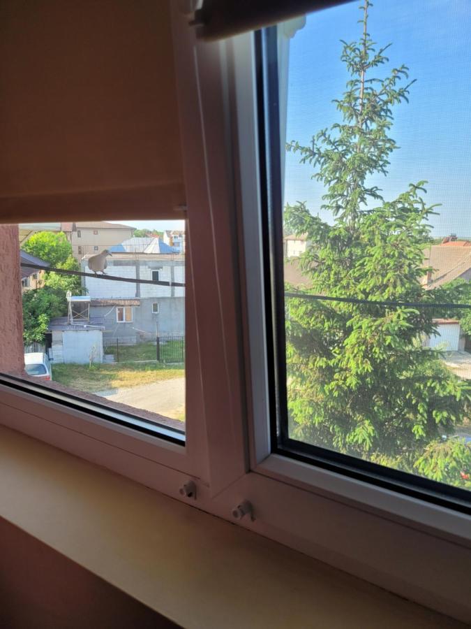 Vila Liz Eforie Nord Otel Dış mekan fotoğraf