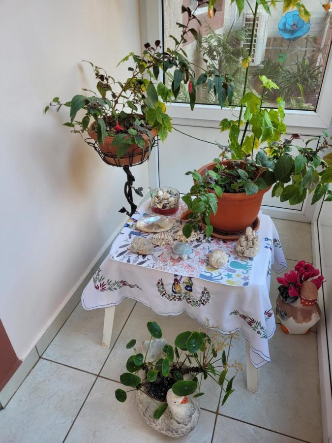 Vila Liz Eforie Nord Otel Dış mekan fotoğraf